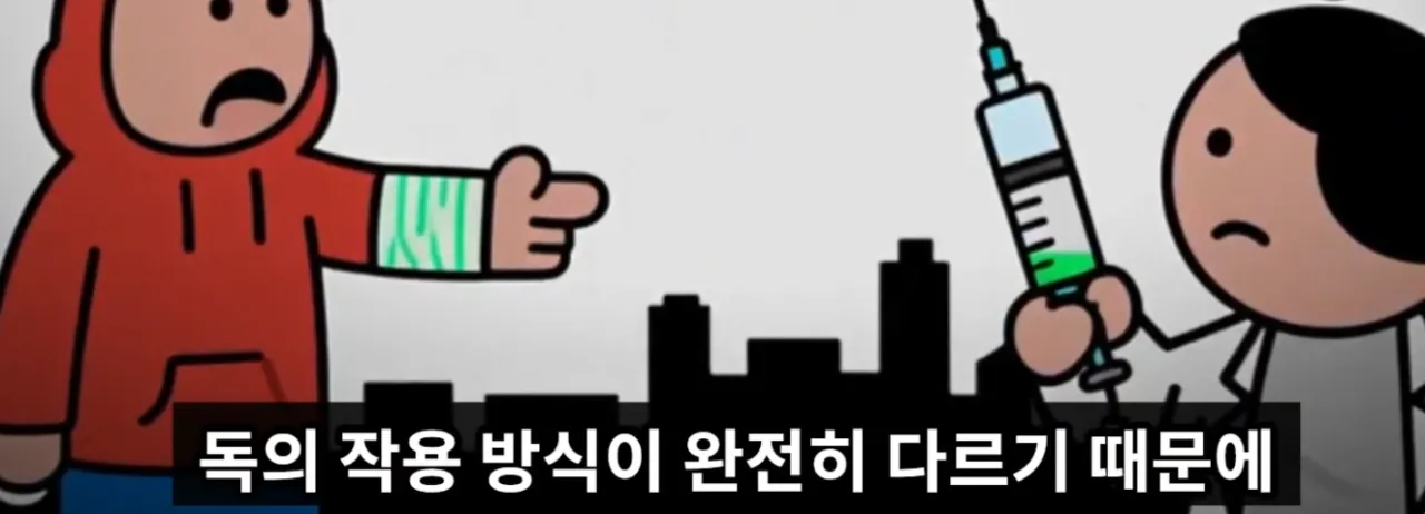 매년 뱀독으로 전세계 수만명 이상 사람이 사망하는 이유 | 인스티즈