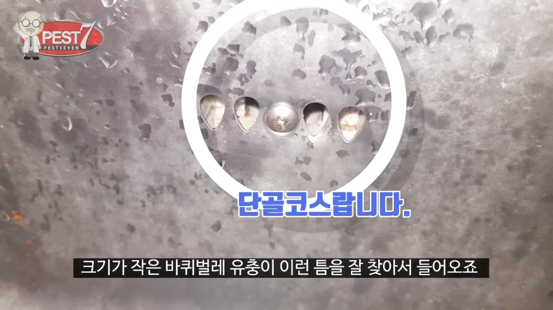 바퀴벌레가 집으로 들어오는..놀라운 경로들.jpg | 인스티즈