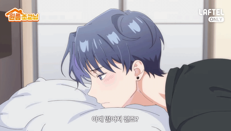 올해 여름 공개되는 BL 애니 원룸조교님 | 인스티즈