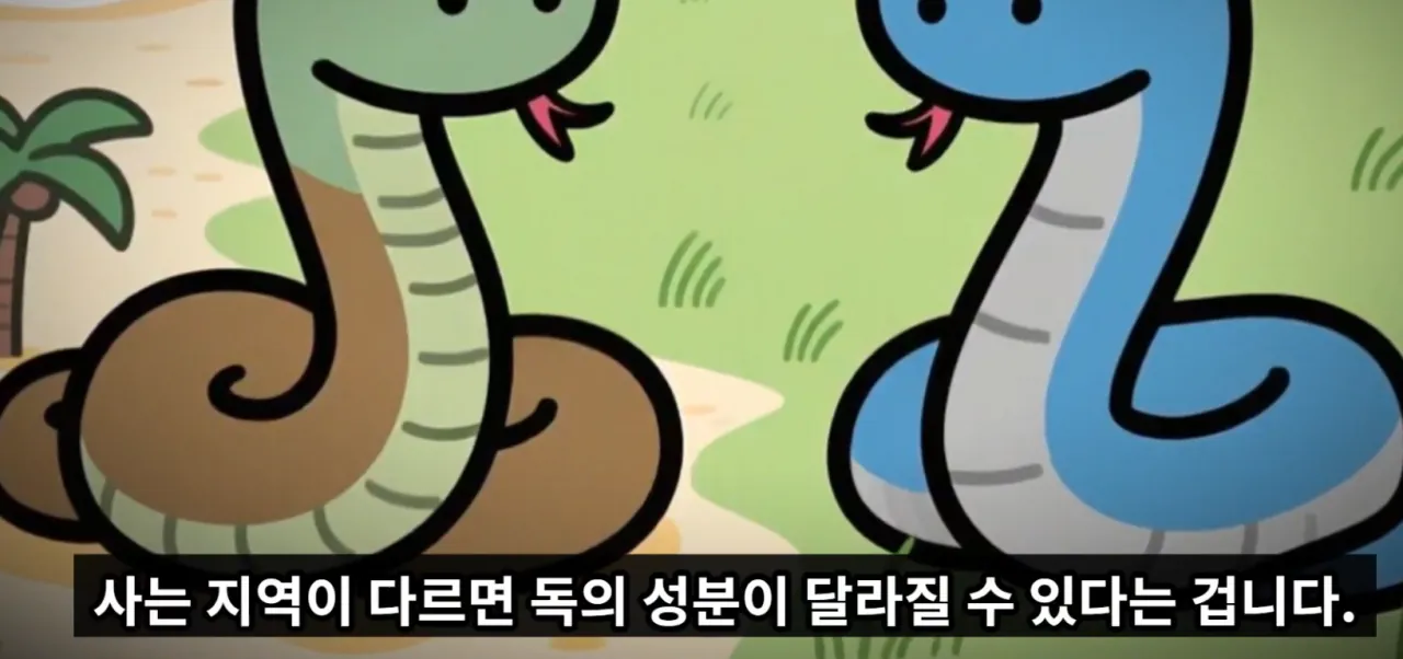 매년 뱀독으로 전세계 수만명 이상 사람이 사망하는 이유 | 인스티즈