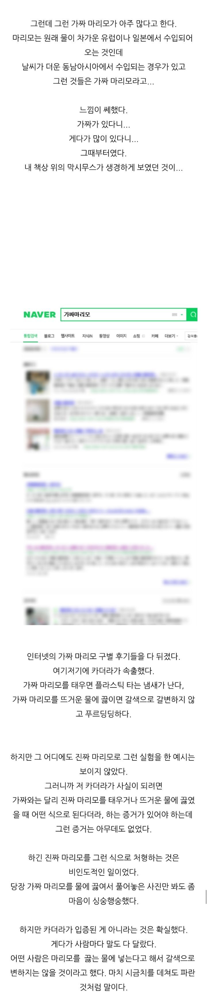 가짜 마리모🟢와 3년을 함께한 사람의 후기 (feat.왜그래 막시무스?) | 인스티즈
