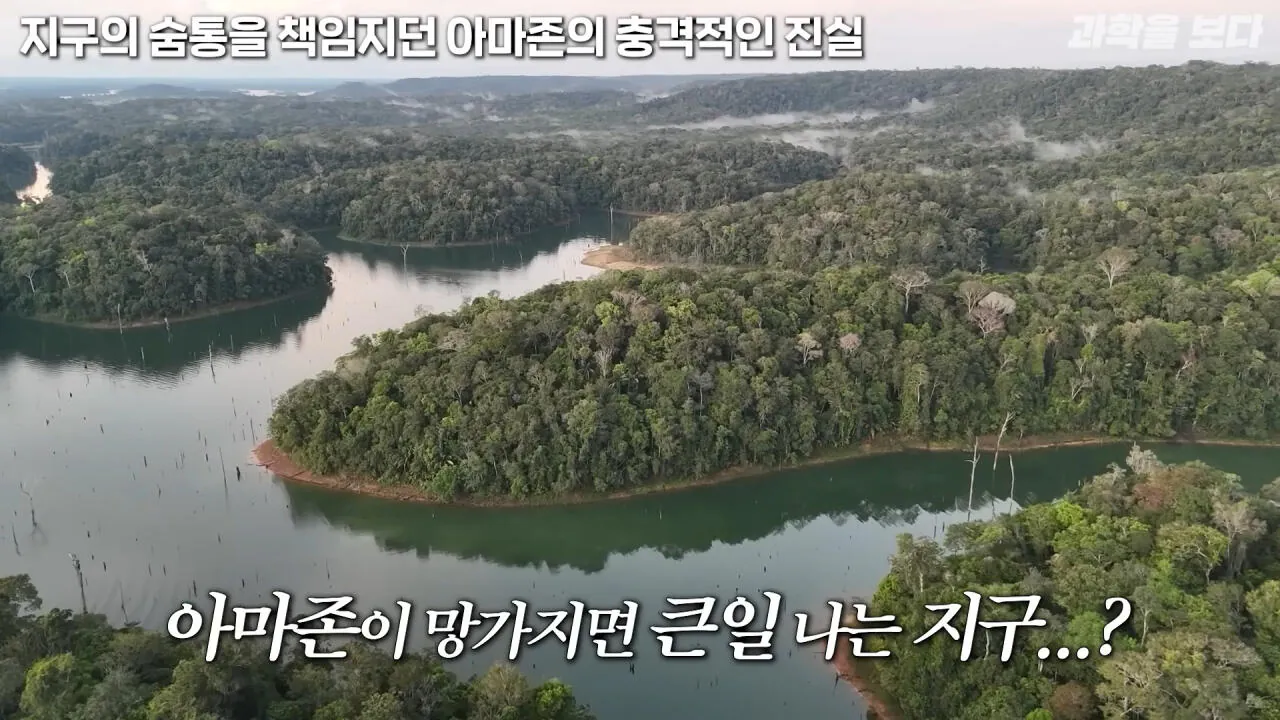 의외로 지구의 허파가 아니라는 아마존 | 인스티즈