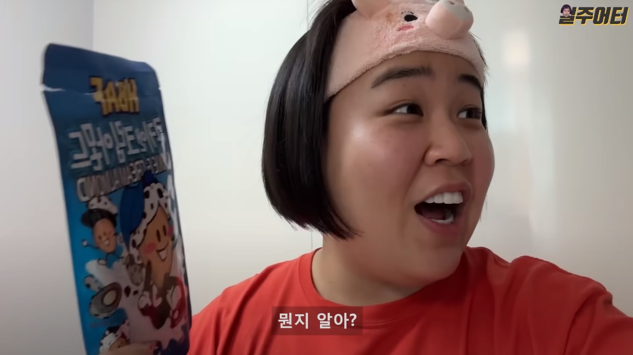 다이어트 유튜버 일주어터가 본인과 정반대인 친언니의 집을 방문하고 놀란 이유ㅋㅋ | 인스티즈