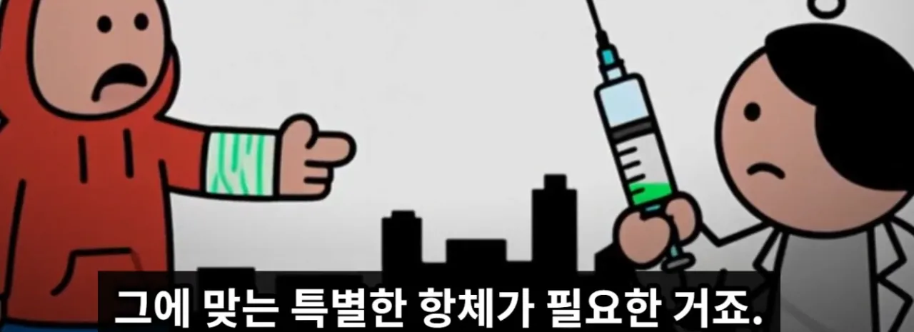 매년 뱀독으로 전세계 수만명 이상 사람이 사망하는 이유 | 인스티즈