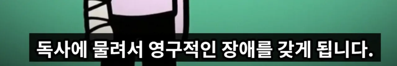 매년 뱀독으로 전세계 수만명 이상 사람이 사망하는 이유 | 인스티즈