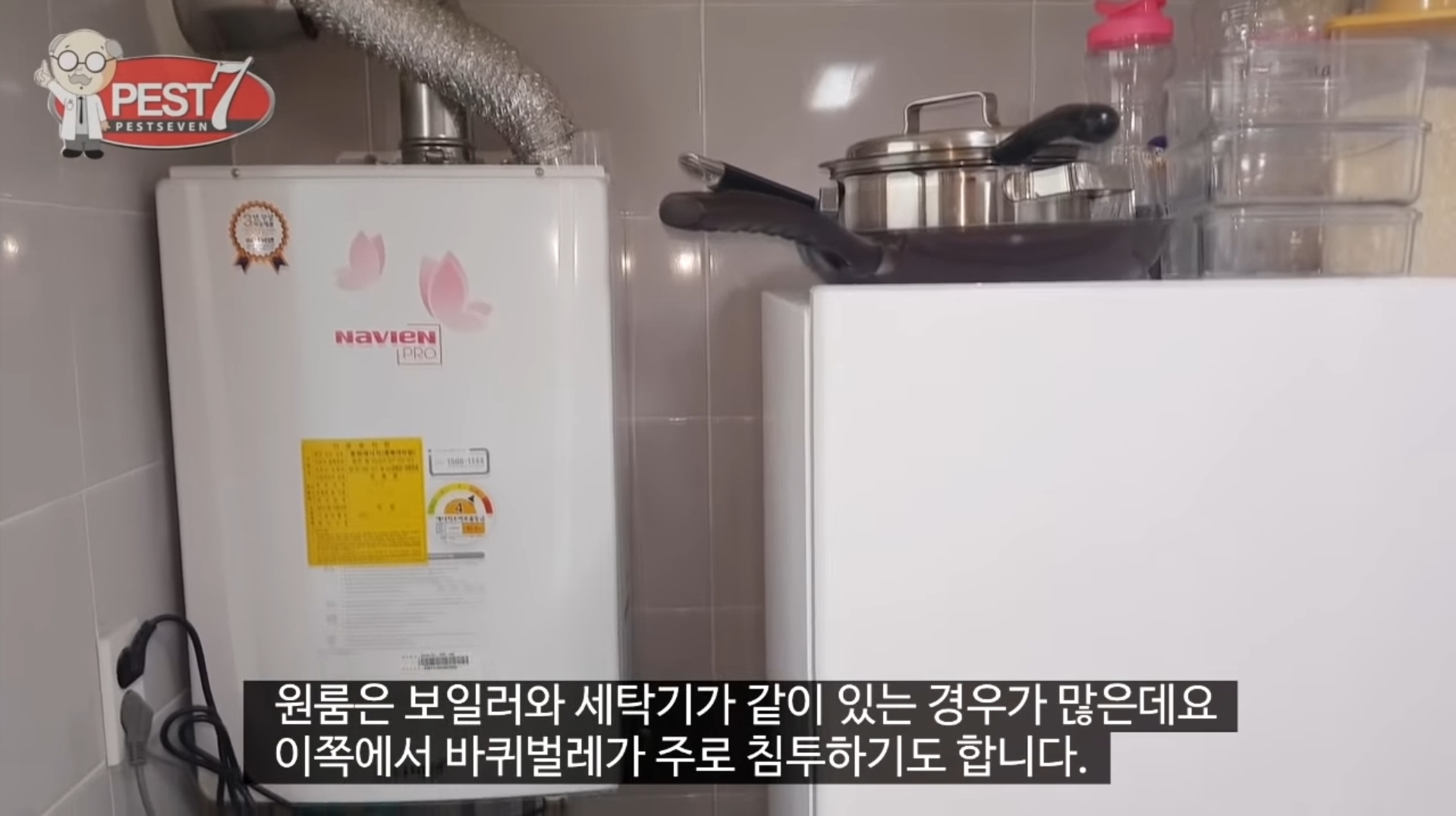 바퀴벌레가 집으로 들어오는..놀라운 경로들.jpg | 인스티즈