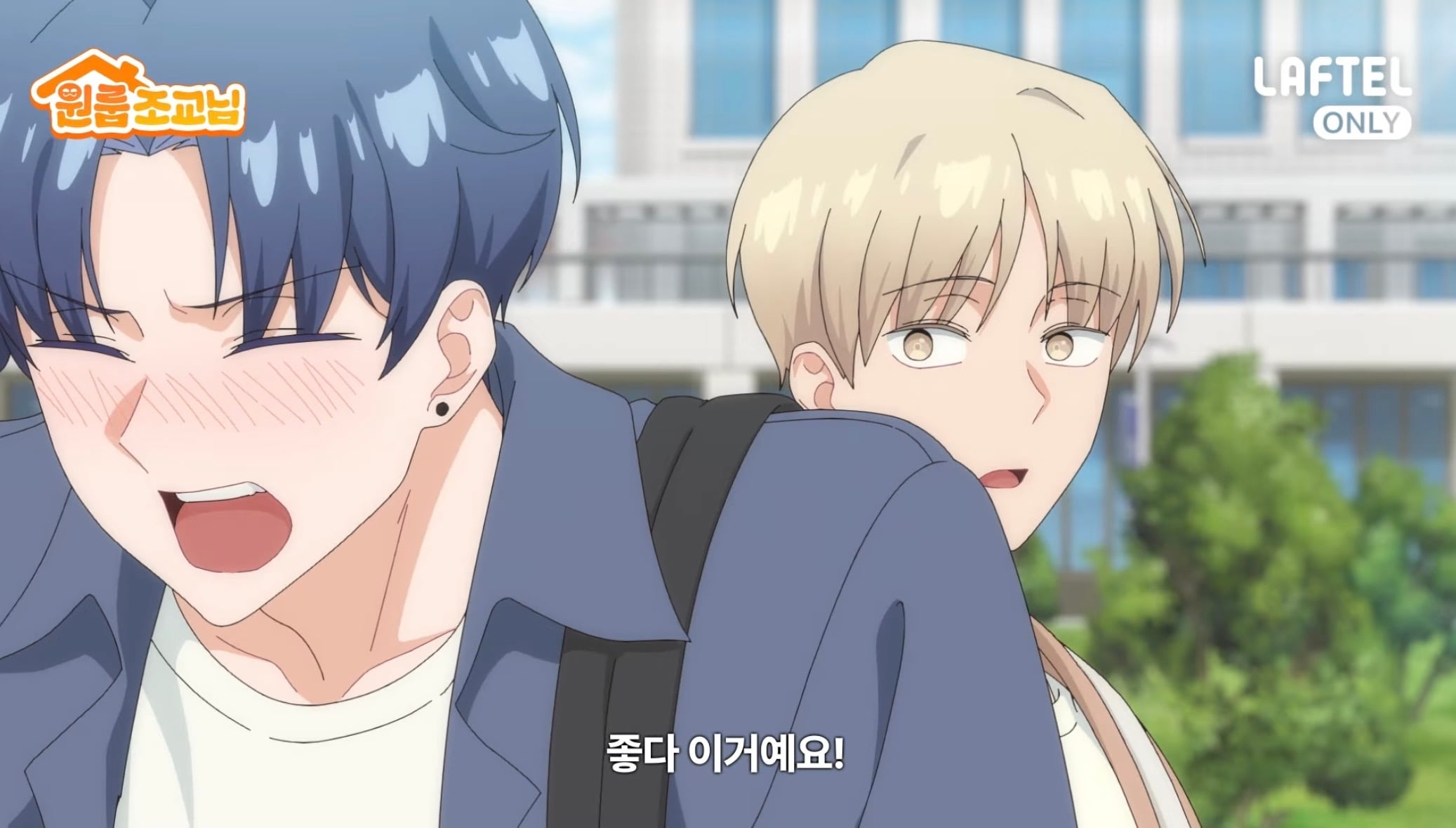 올해 여름 공개되는 BL 애니 원룸조교님 | 인스티즈
