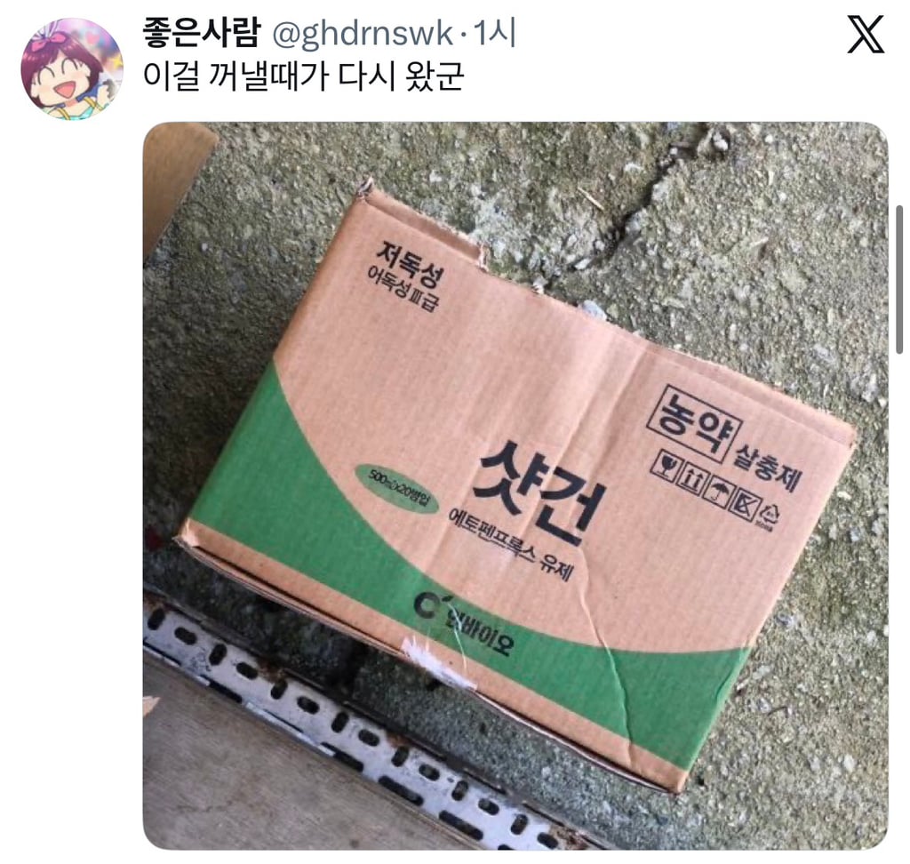 농자재 구경하는데 한국 살충제들이 진짜 너무 무서움 | 인스티즈