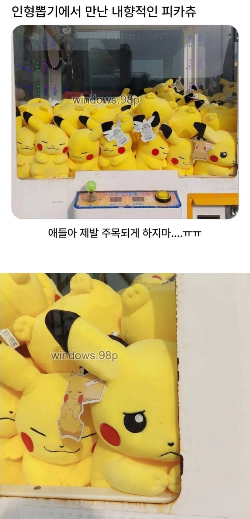 인형뽑기에서 만난 내향적인 피카츄 | 인스티즈