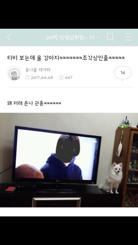 웃긴 썰 캡쳐모음 ㅋㅋㅋㅋㅋㅋㅋㅋㅋㅋㅋ | 인스티즈