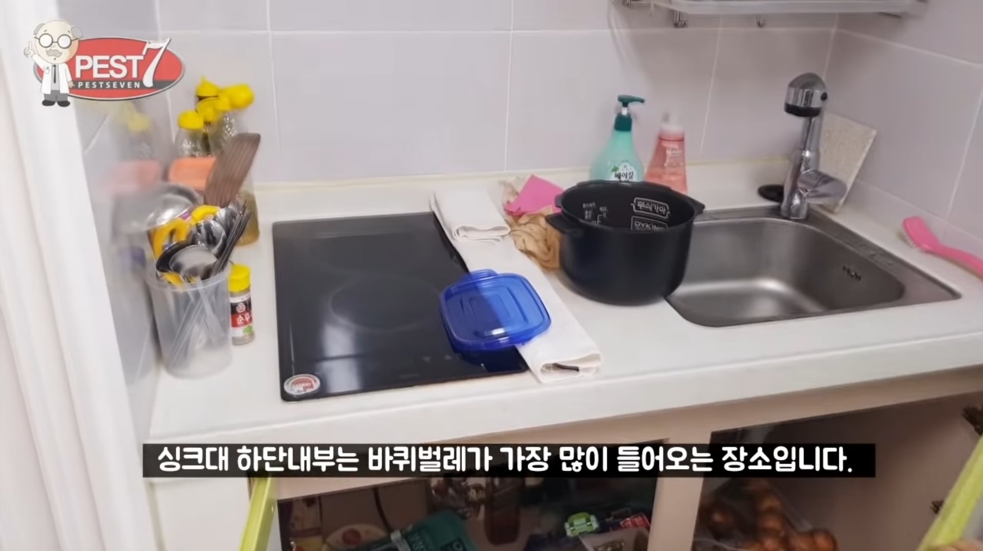 바퀴벌레가 집으로 들어오는..놀라운 경로들.jpg | 인스티즈