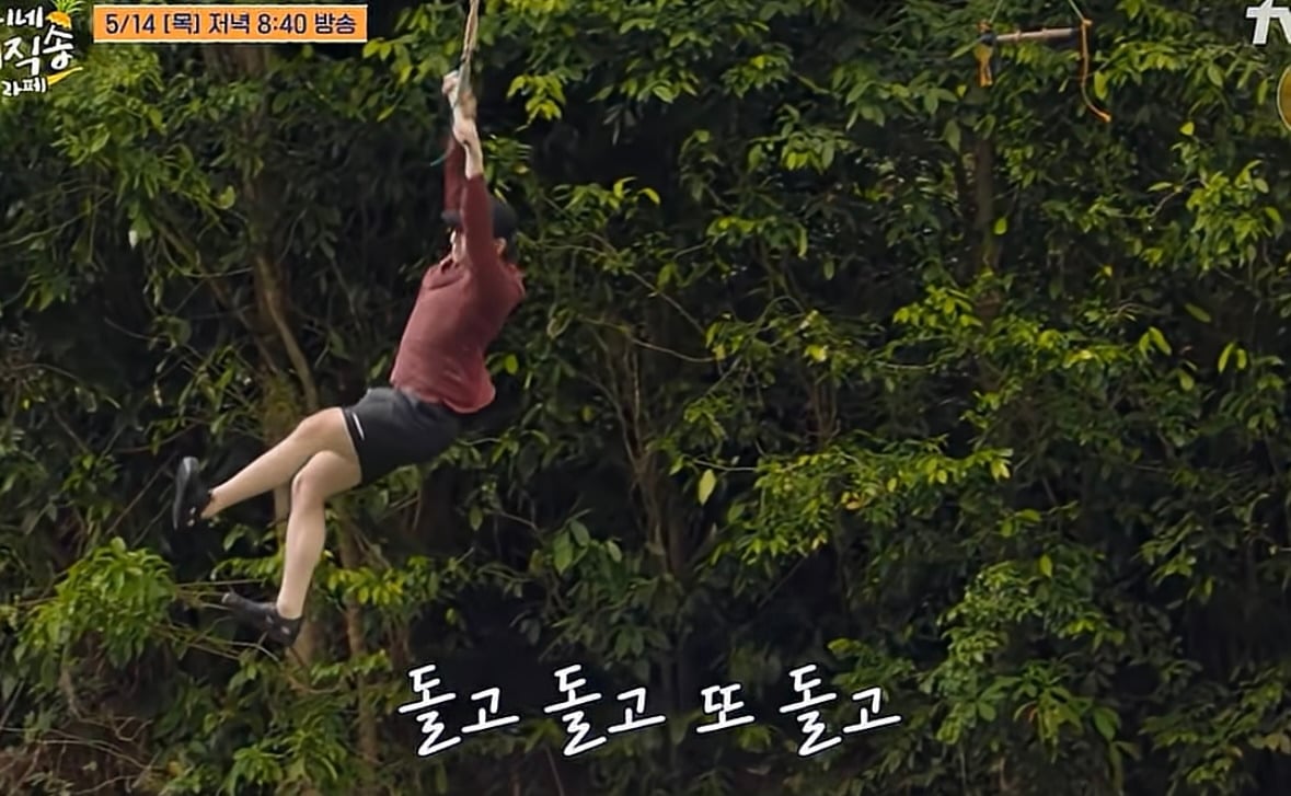 (언니네 산지직송)덱스 캐스팅을 못끊는 이유 | 인스티즈