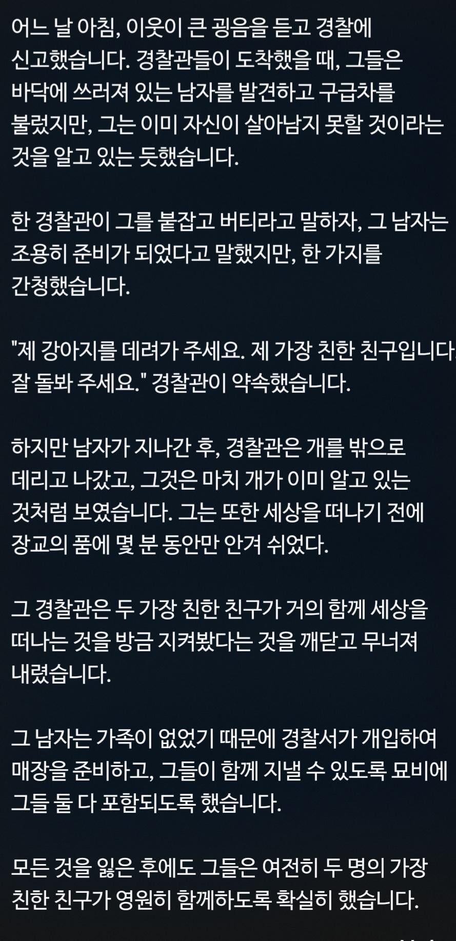 한 날 한 시에 같은 길을 떠난 개와 인간의 영원한 우정 | 인스티즈