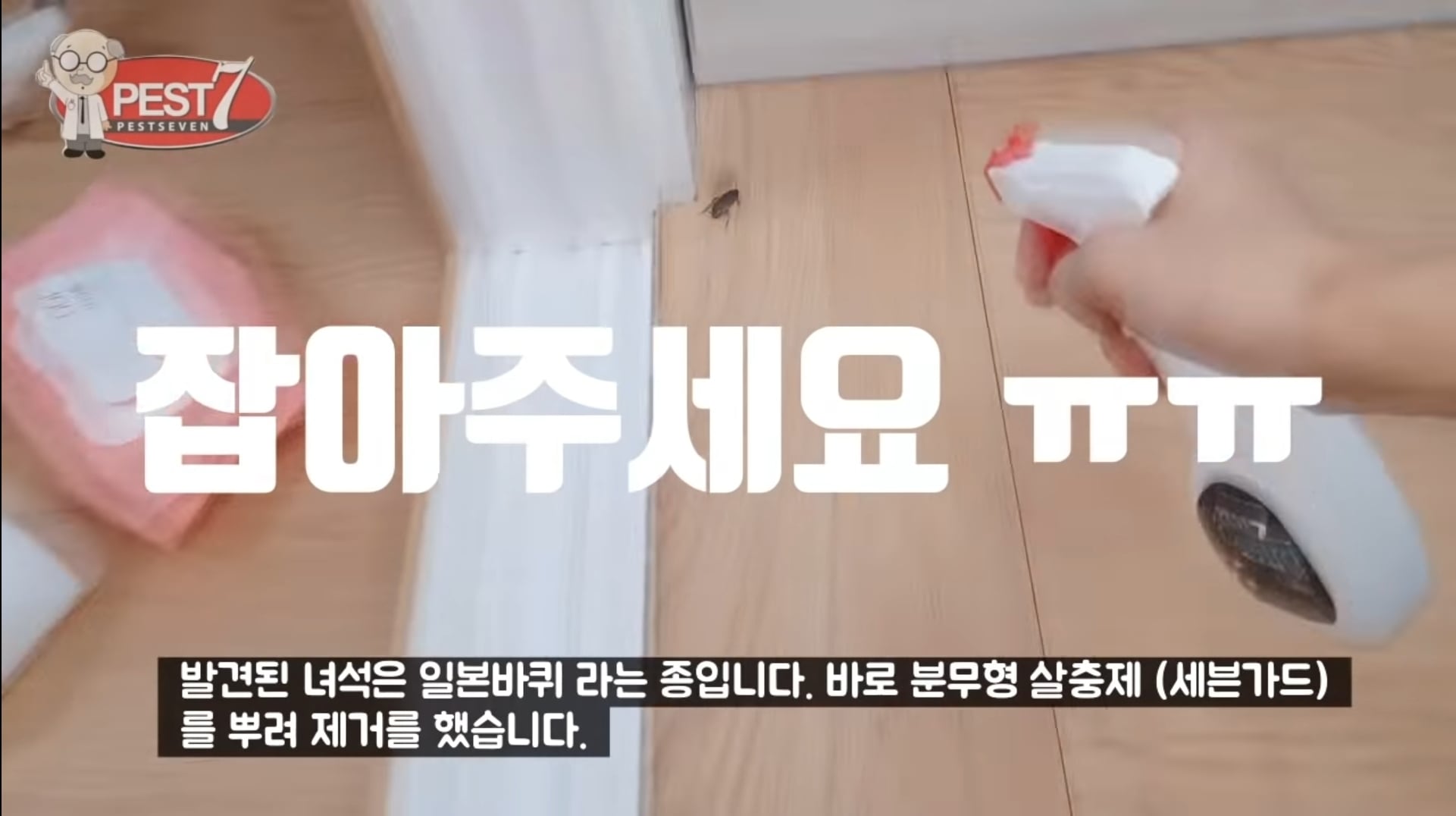 바퀴벌레가 집으로 들어오는..놀라운 경로들.jpg | 인스티즈