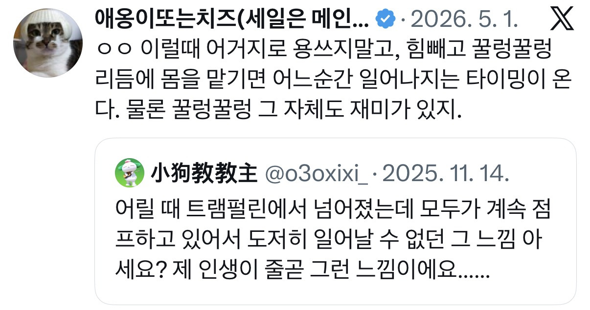 어릴 때 트램펄린에서 넘어졌는데 모두가 계속 점프하고 있어서 도저히 일어날 수 없던 그 느낌 아세요?.twt | 인스티즈