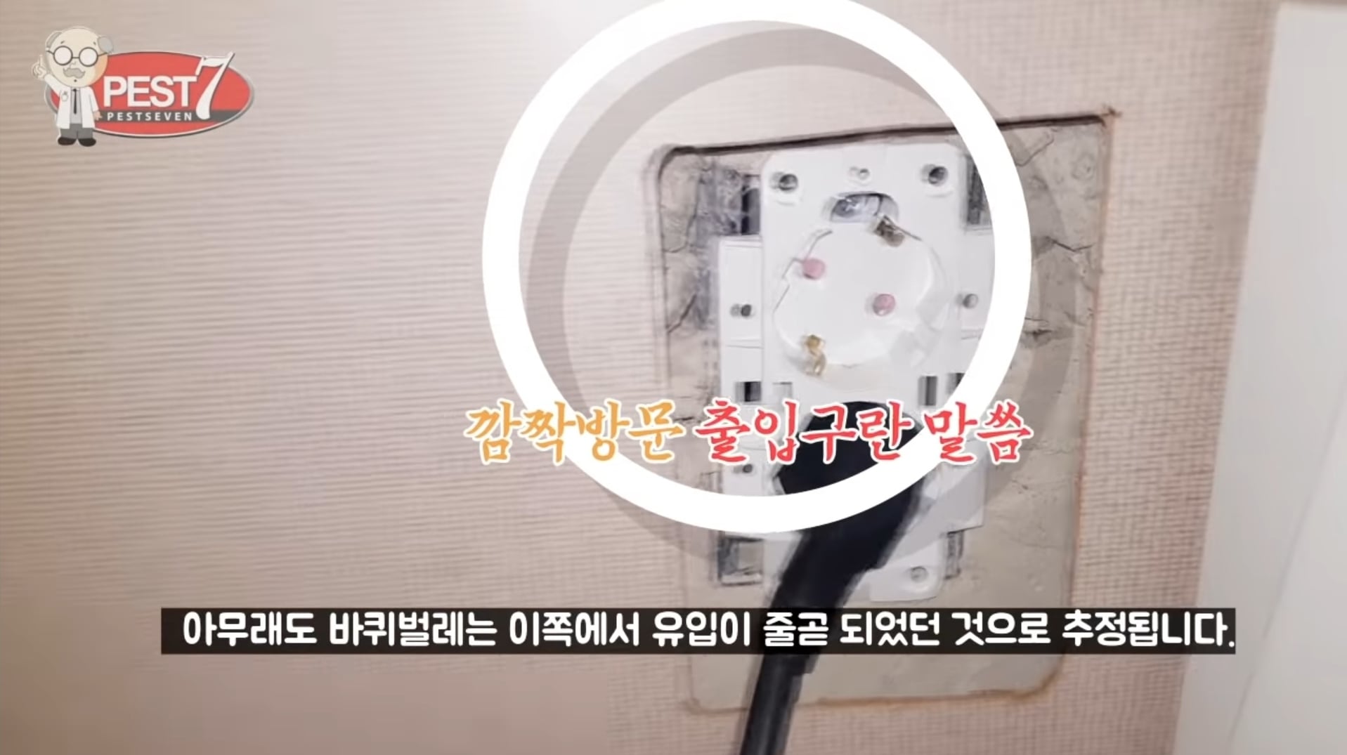 바퀴벌레가 집으로 들어오는..놀라운 경로들.jpg | 인스티즈