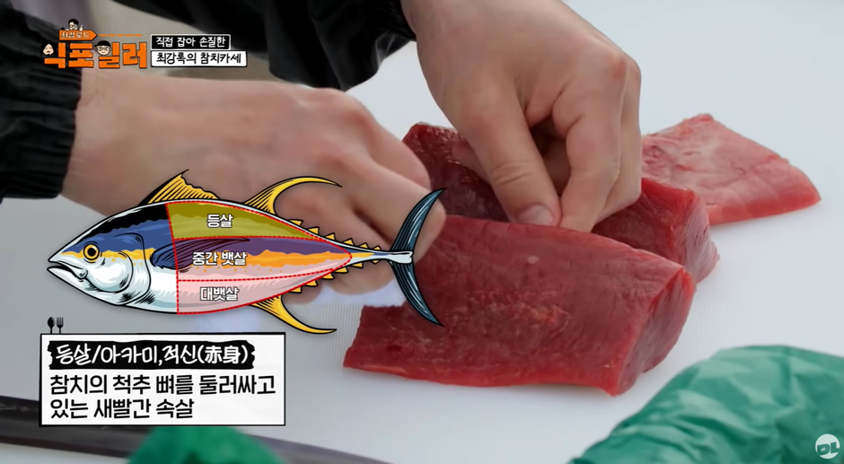 최강록 피셜 참치회에 가장 어울린다는 소스 | 인스티즈
