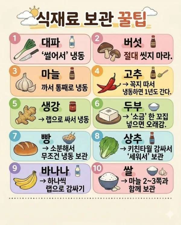 식재료 보관 꿀팁 | 인스티즈