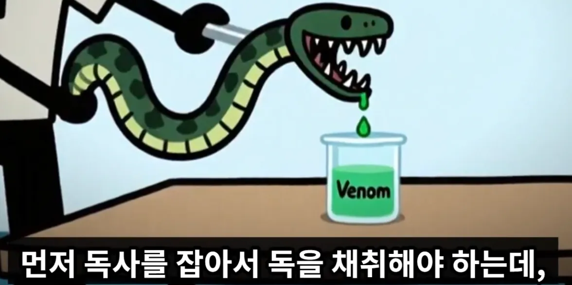 매년 뱀독으로 전세계 수만명 이상 사람이 사망하는 이유 | 인스티즈