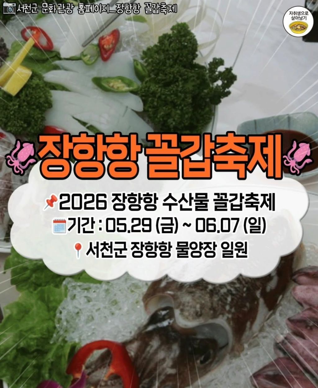5~6월 전국 주요 축제들 | 인스티즈