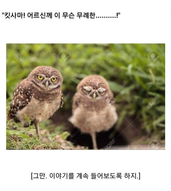 애니메이션 좀 봤다하면 아는 클리셰 | 인스티즈