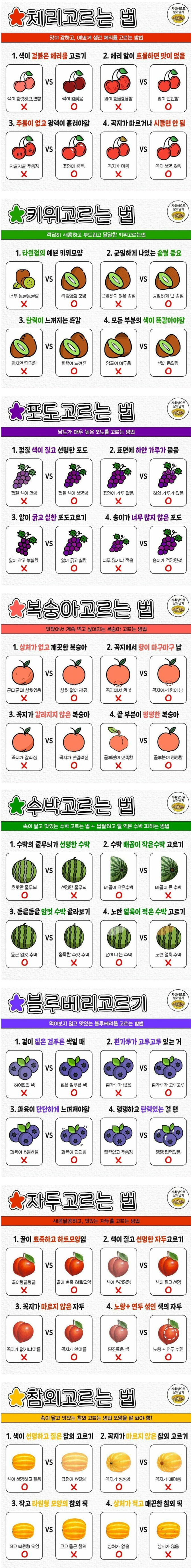 맛있는 과일 고르는 방법들 | 인스티즈