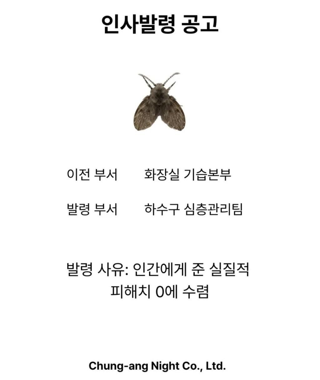 여름 근무 스케줄입니다 | 인스티즈