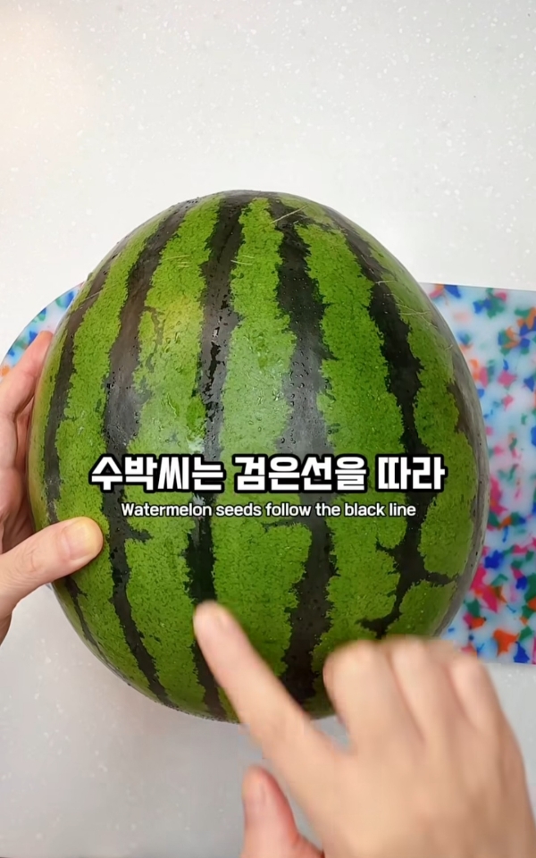 수박씨 이거 알고있었음?.jpg | 인스티즈