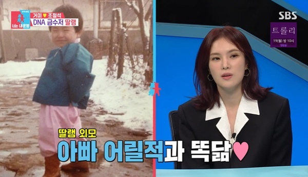조정석 3명과 살고있다는 거미 | 인스티즈