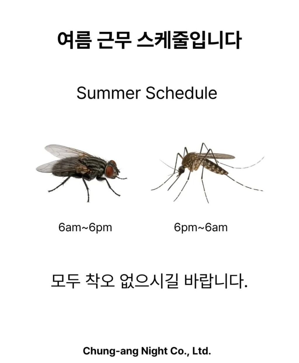 여름 근무 스케줄입니다 | 인스티즈