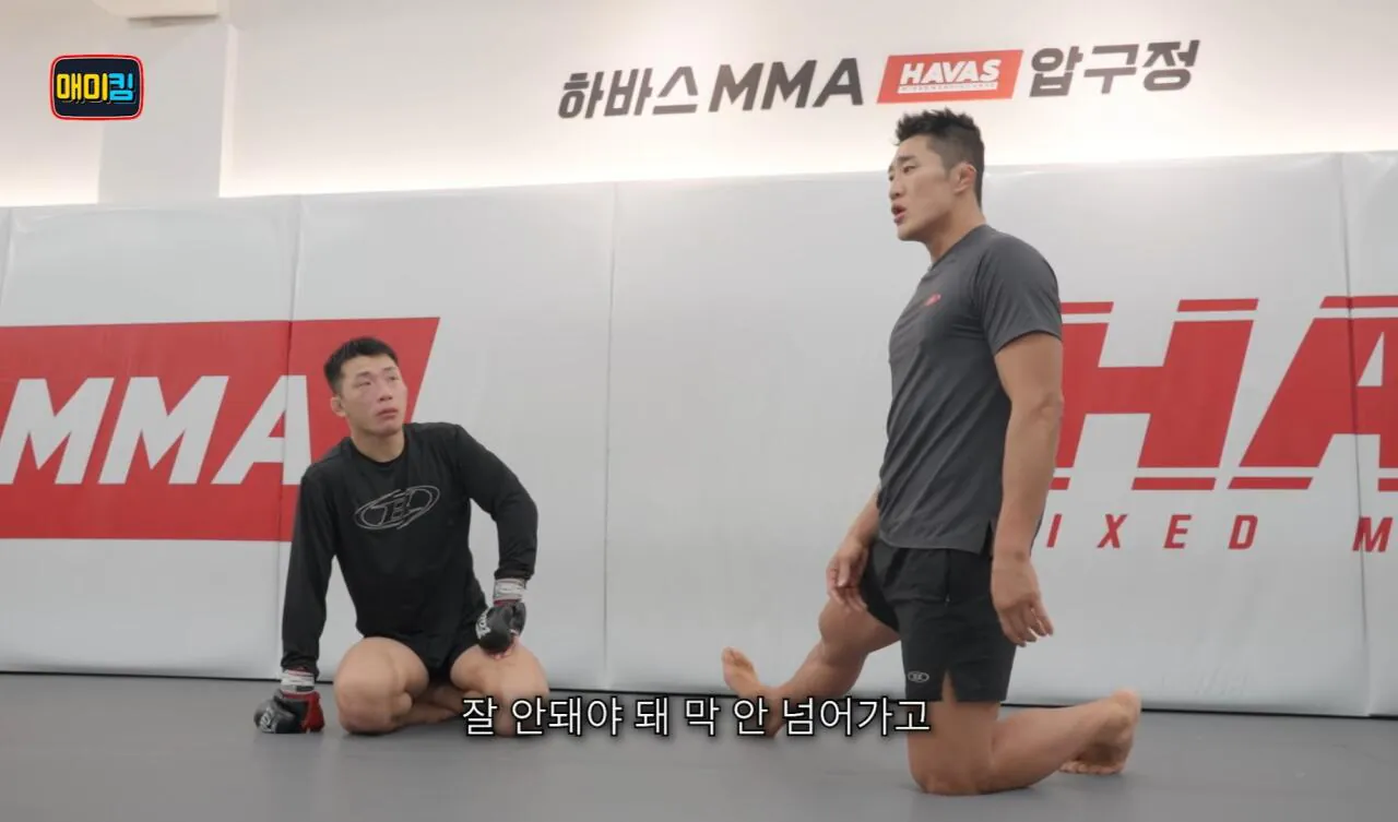 독기가득한 김동현 어록 | 인스티즈