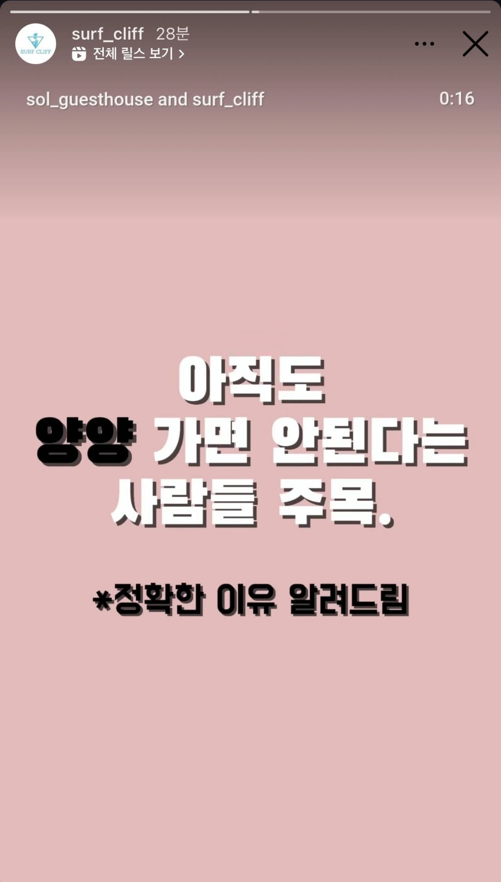 올해 양양 마케팅 근황.jpg | 인스티즈