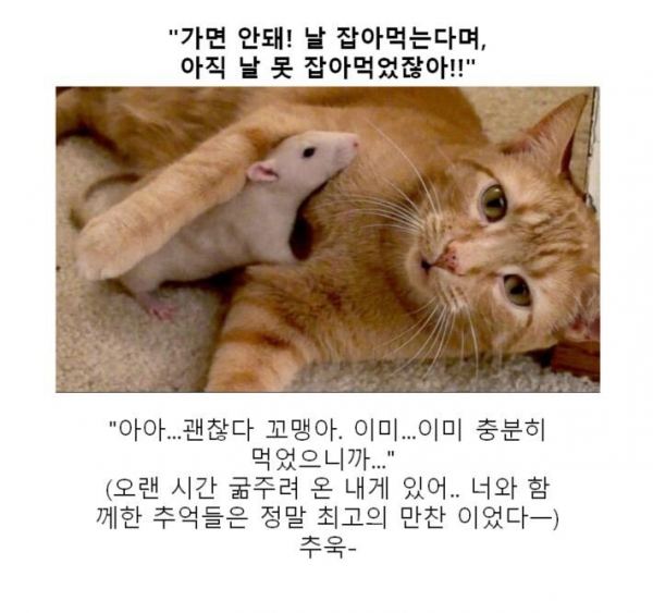 애니메이션 좀 봤다하면 아는 클리셰 | 인스티즈