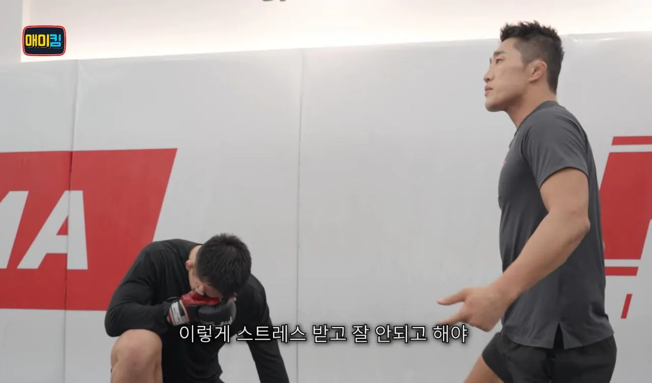 독기가득한 김동현 어록 | 인스티즈