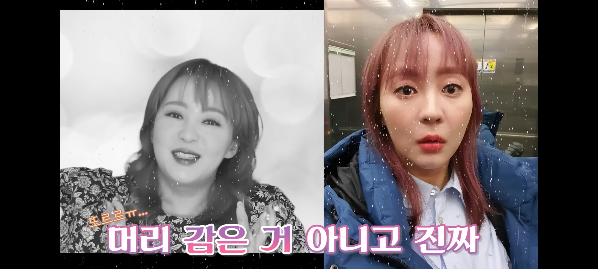 다이슨 에어랩 사용자가 뽑은 최고의 단점 | 인스티즈
