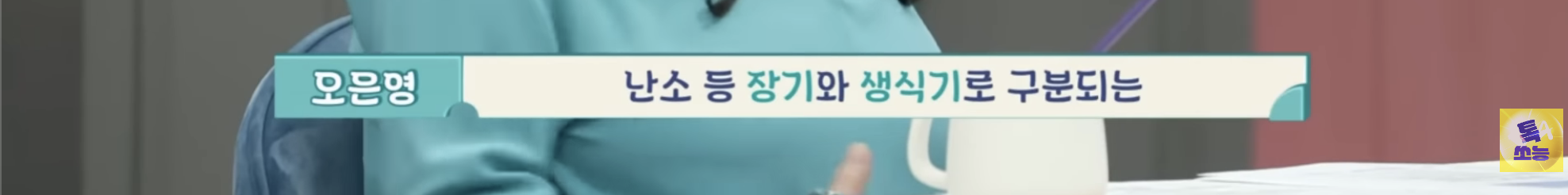 트위터에서 오은영 쌤이 트젠 혐오한다고 욕먹었던 금쪽이 편 | 인스티즈