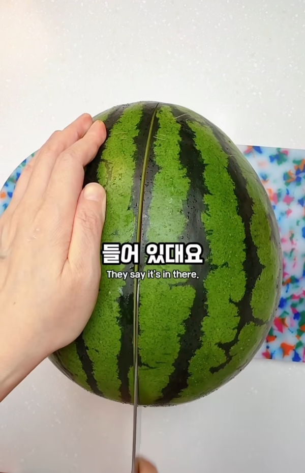 수박씨 이거 알고있었음?.jpg | 인스티즈