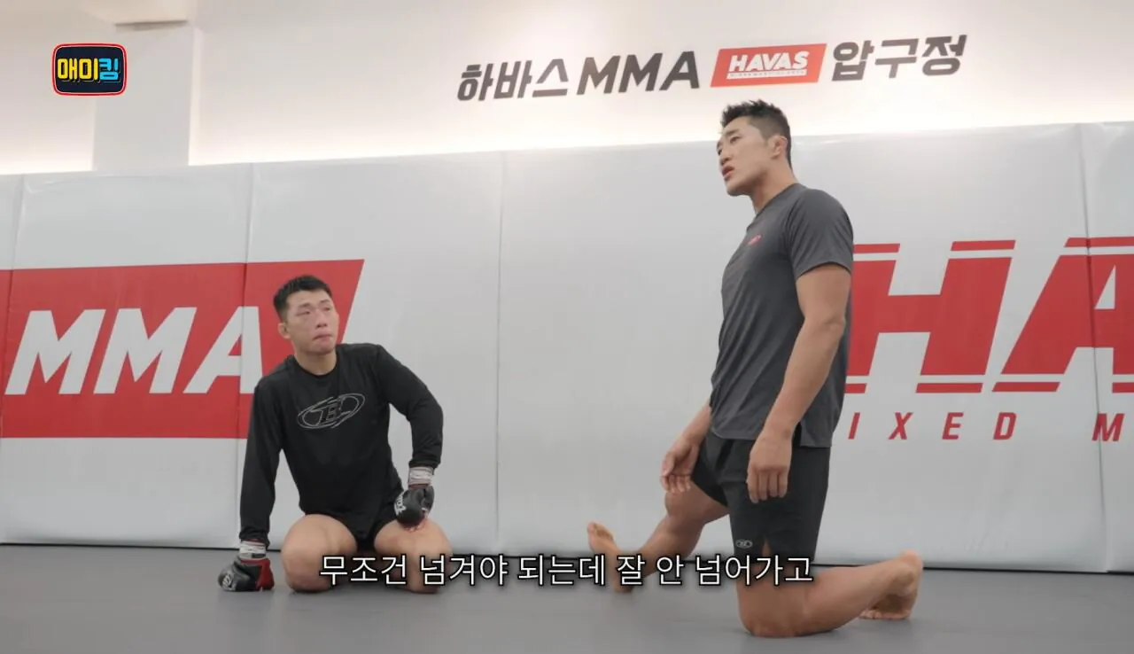 독기가득한 김동현 어록 | 인스티즈