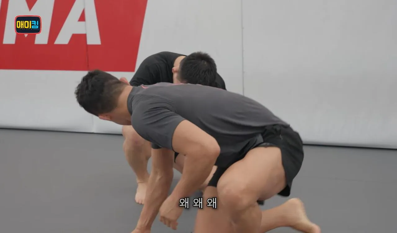 독기가득한 김동현 어록 | 인스티즈