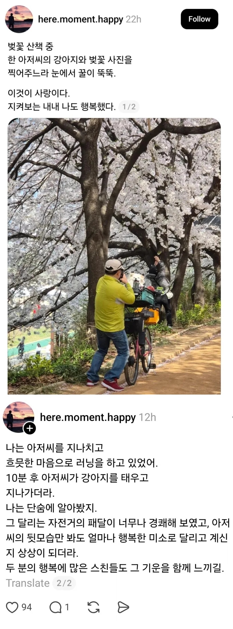 강아지와 벚꽃산책 나온 아저씨 | 인스티즈