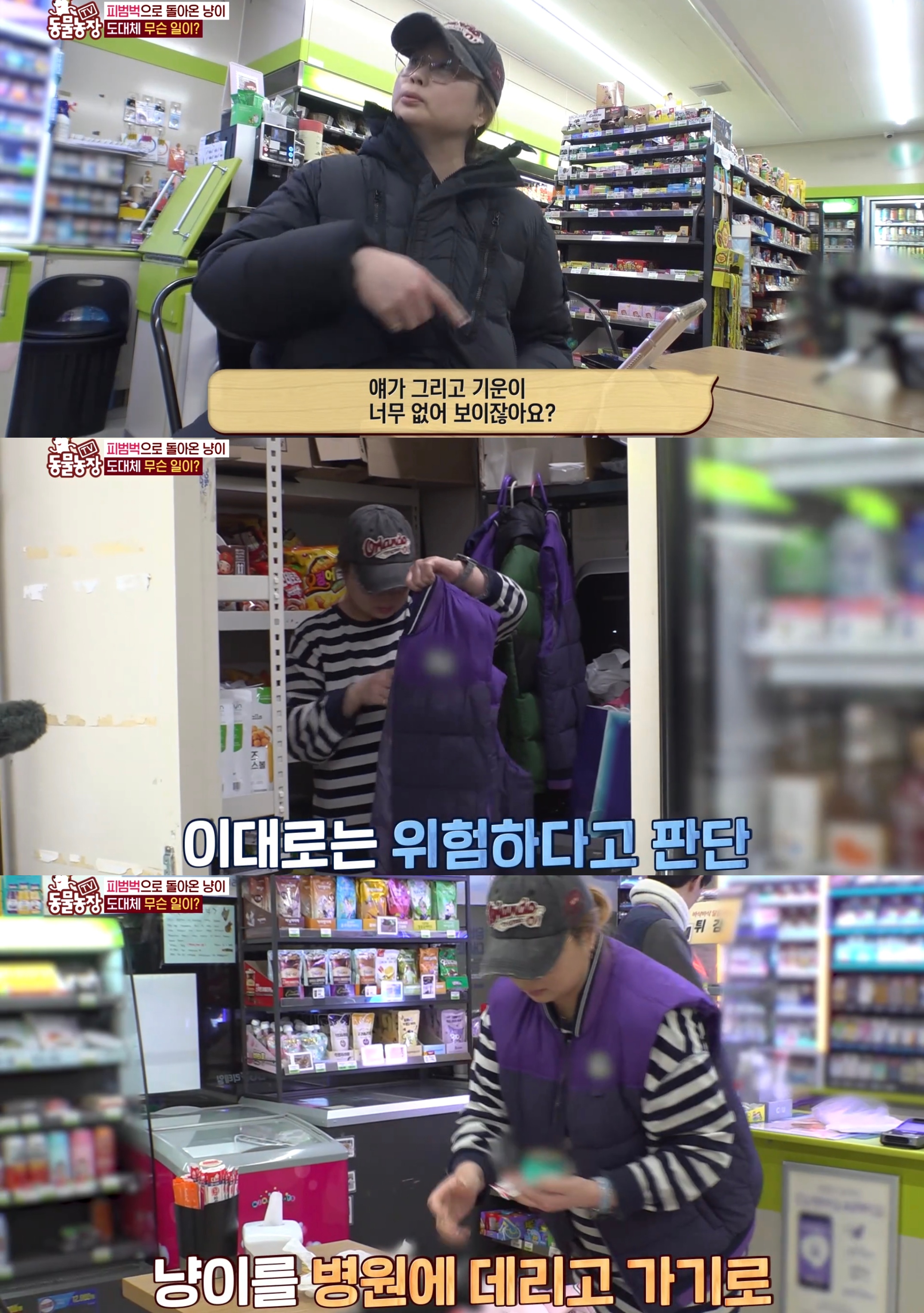 충격 전개로 눈물나는 이번주 동물농장 편의점 고양이 사연.jpg | 인스티즈
