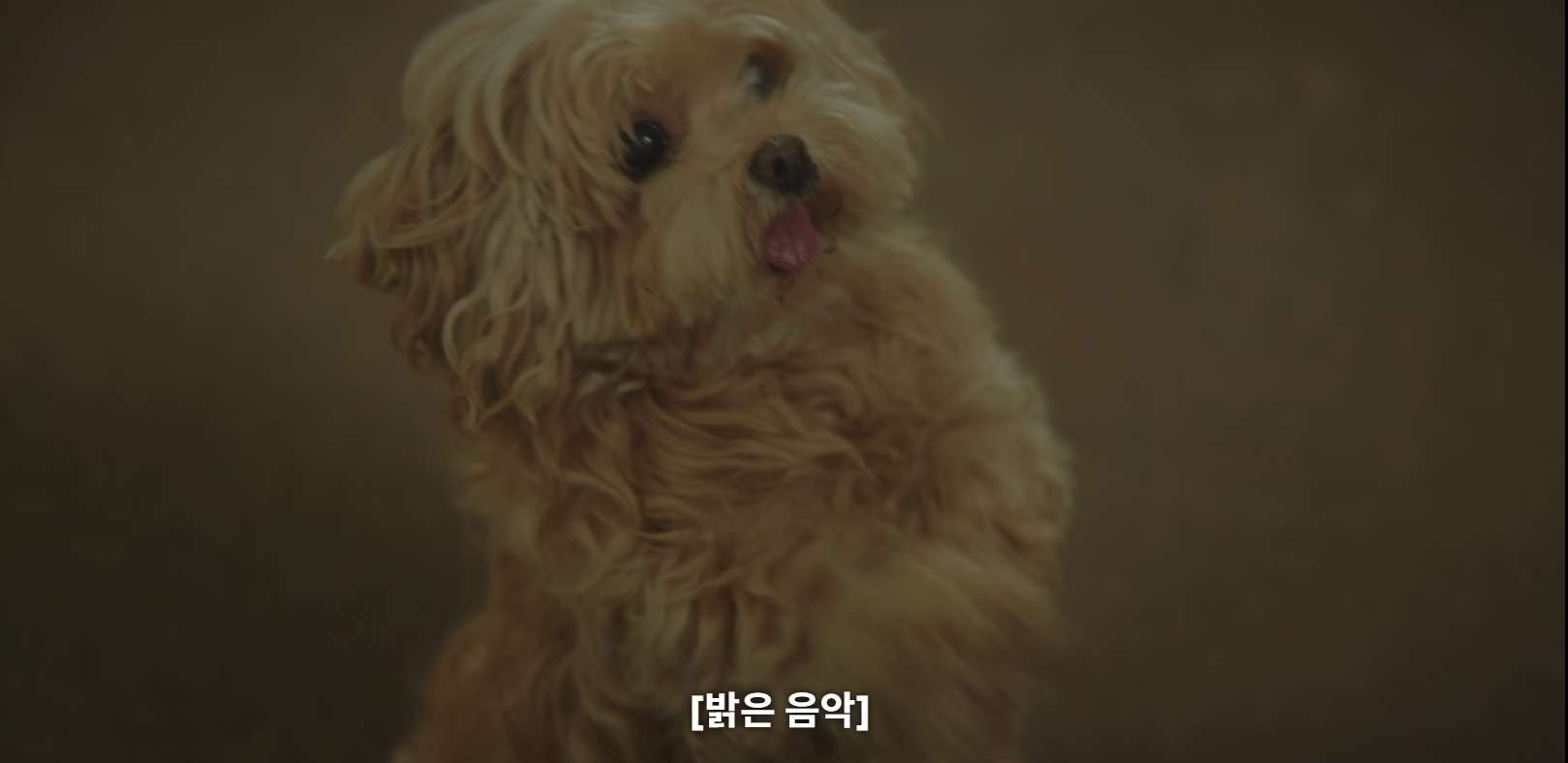 [멋진신세계] 연기랑 얼굴 대박이라 오늘 난리난 캐릭터 | 인스티즈