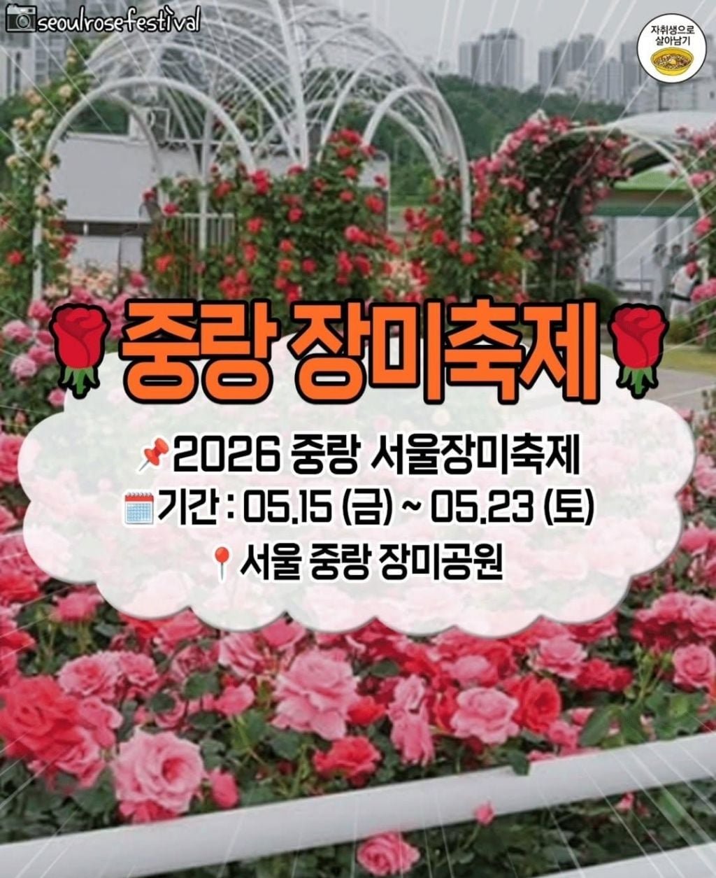 5~6월 전국 주요 축제들 | 인스티즈