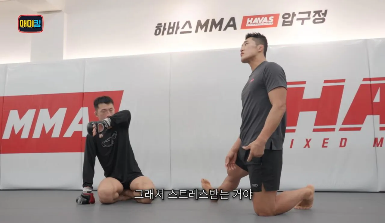 독기가득한 김동현 어록 | 인스티즈