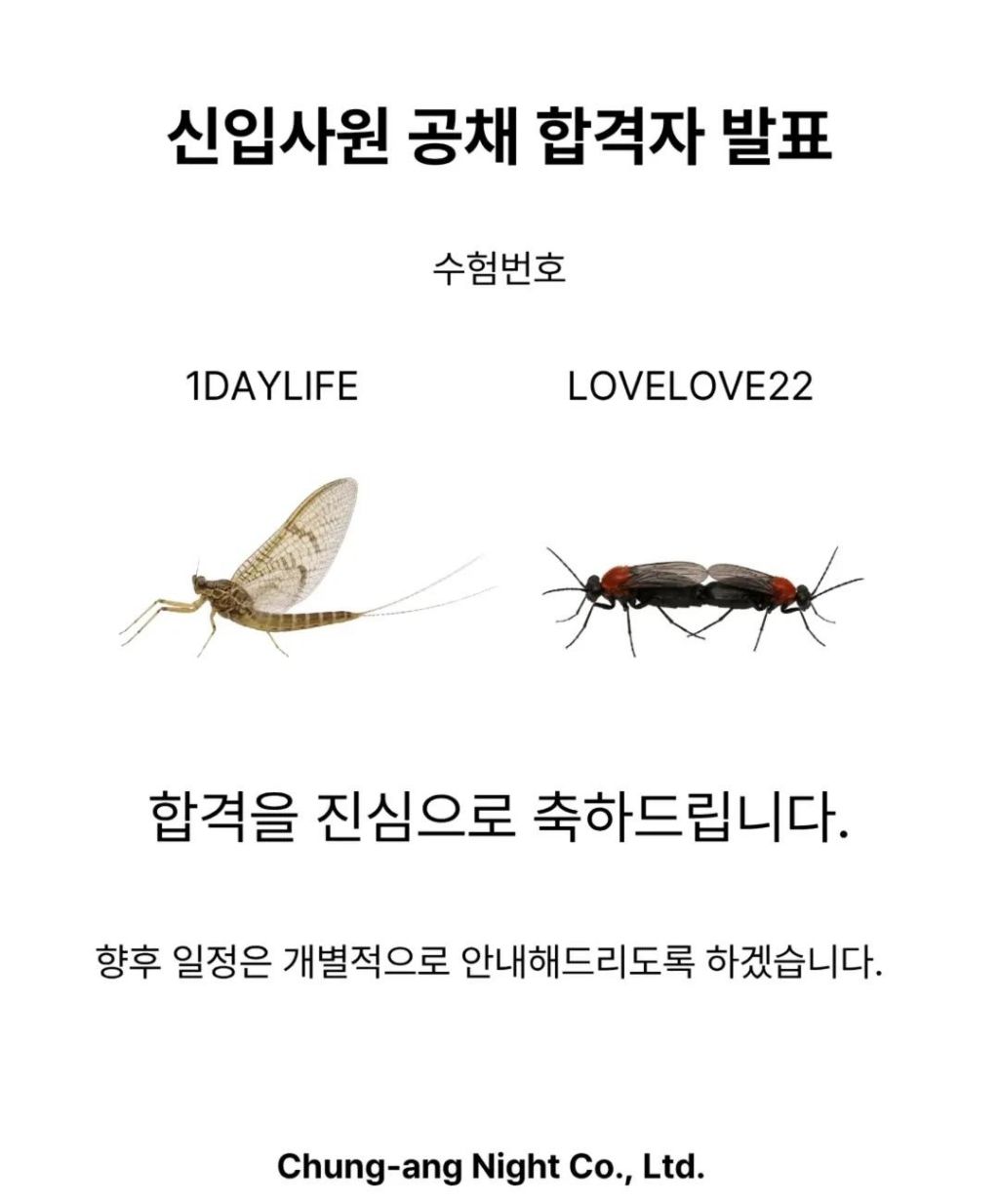 여름 근무 스케줄입니다 | 인스티즈