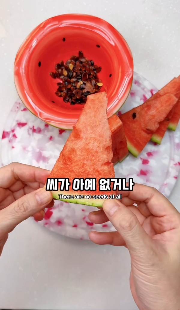 수박씨 이거 알고있었음?.jpg | 인스티즈