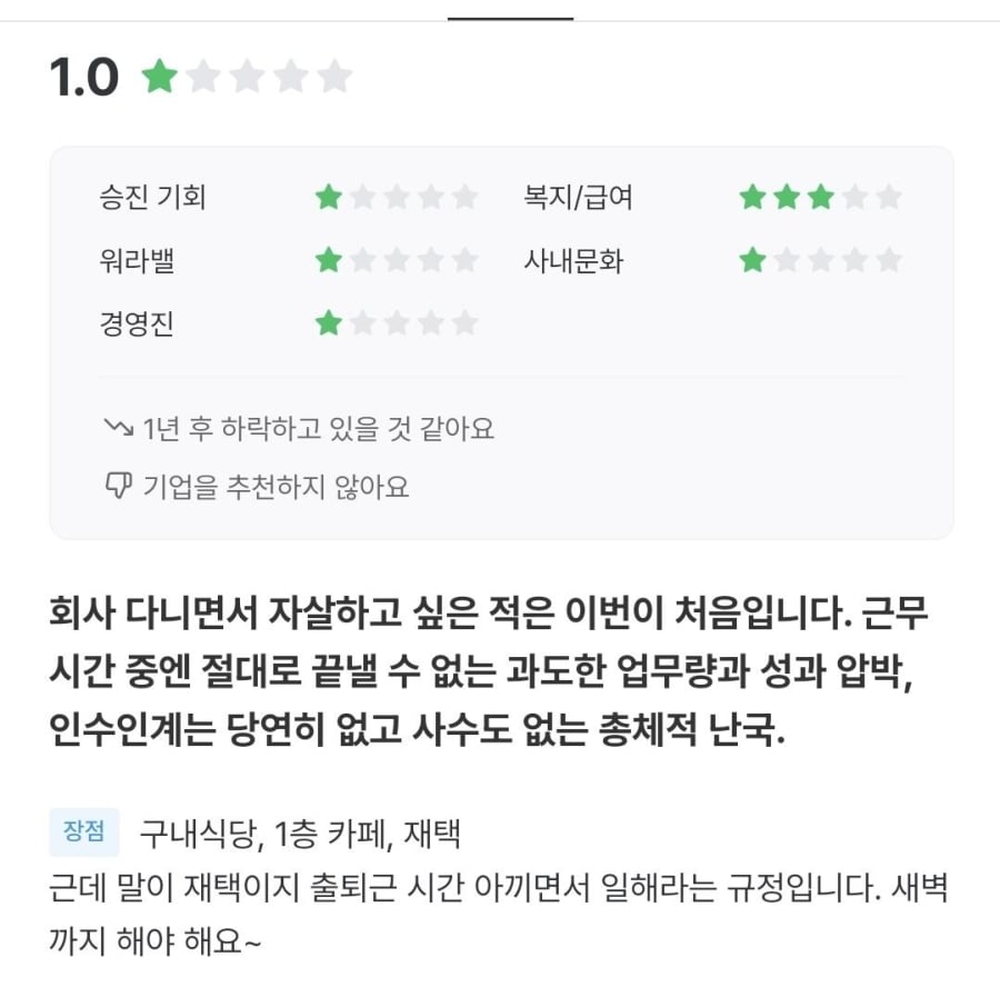 회사 다니면서 자살하고 싶었다는 무신사 직원의 잡플래닛 폭로 | 인스티즈