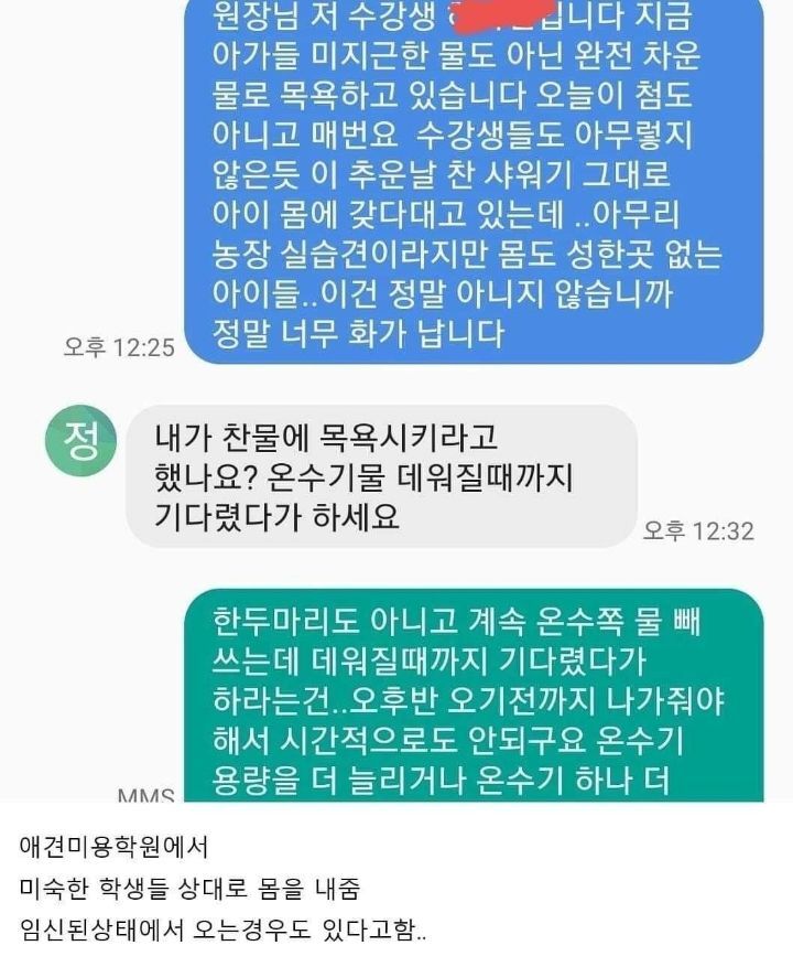 개농장 번식견들이 비임신기간에 하는 일 | 인스티즈