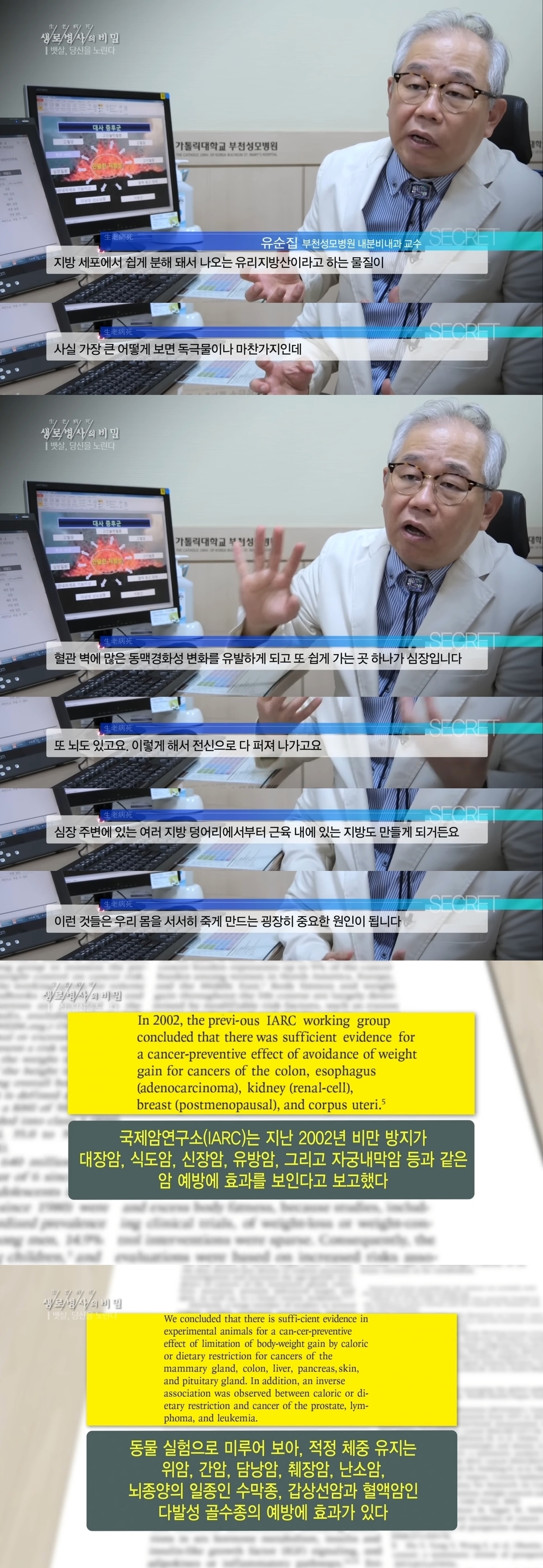 비만이 몸에 해롭고 암까지 유발하는 이유.jpg | 인스티즈