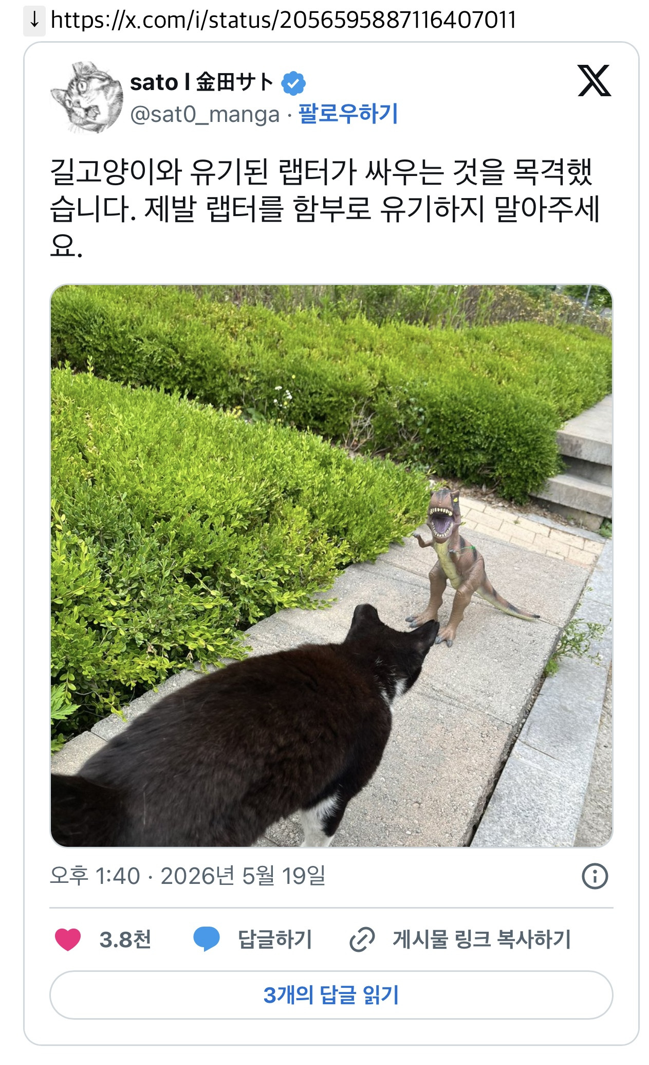 길고양이와 유기된 랩터가 싸우는 것을 목격했습니다. 제발 랩터를 함부로 유기하지 말아주세요 | 인스티즈